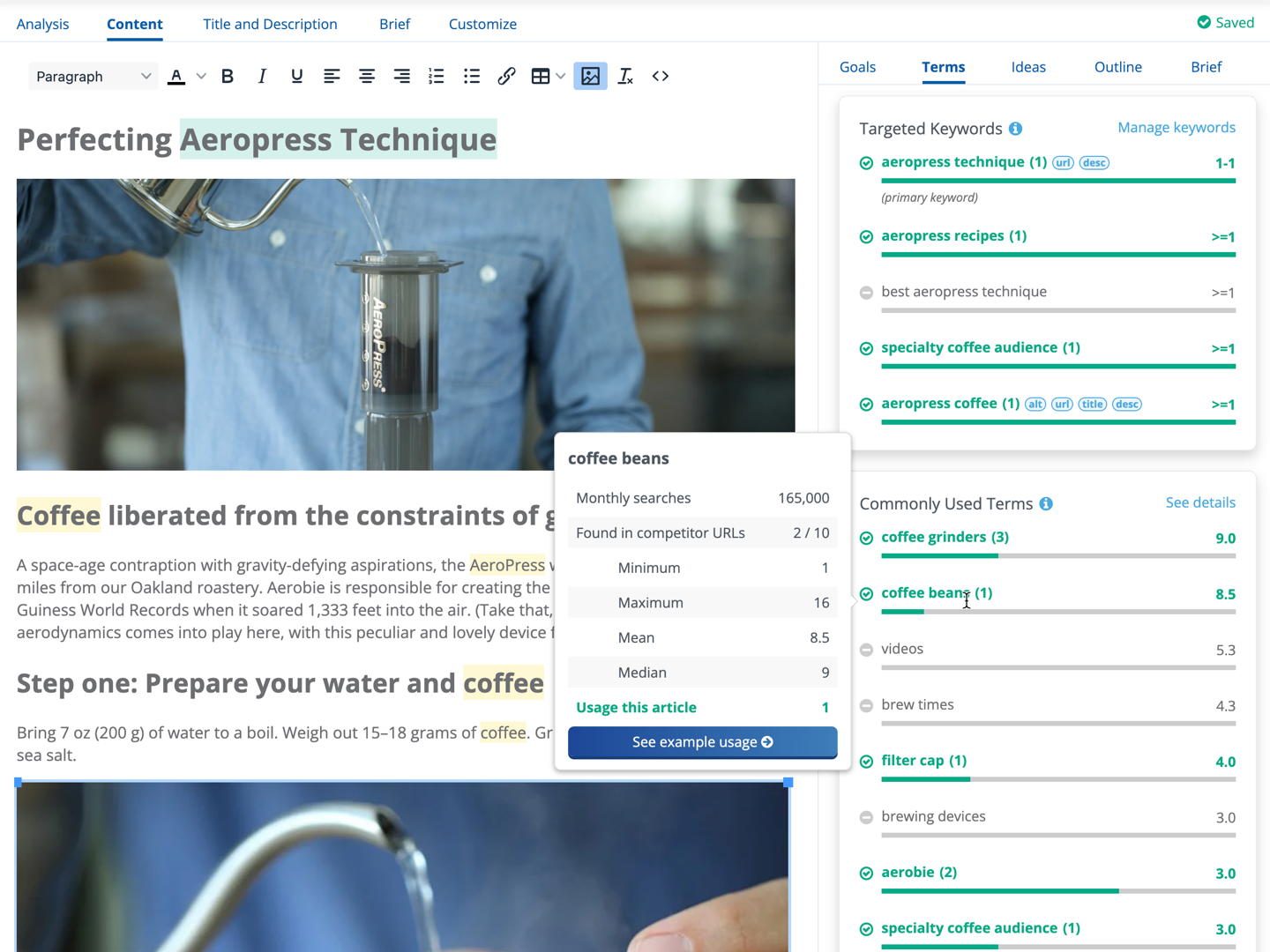 Dragon Metrics Content Writer keyword utilization