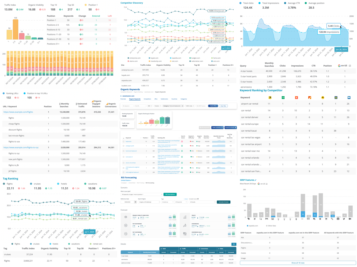 Dragon Metrics rank tracking reports